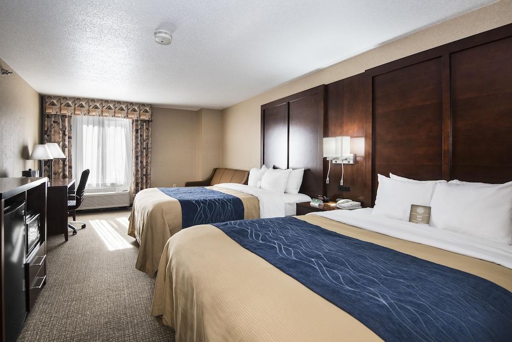 Comfort Inn & Suites Conway Dış mekan fotoğraf