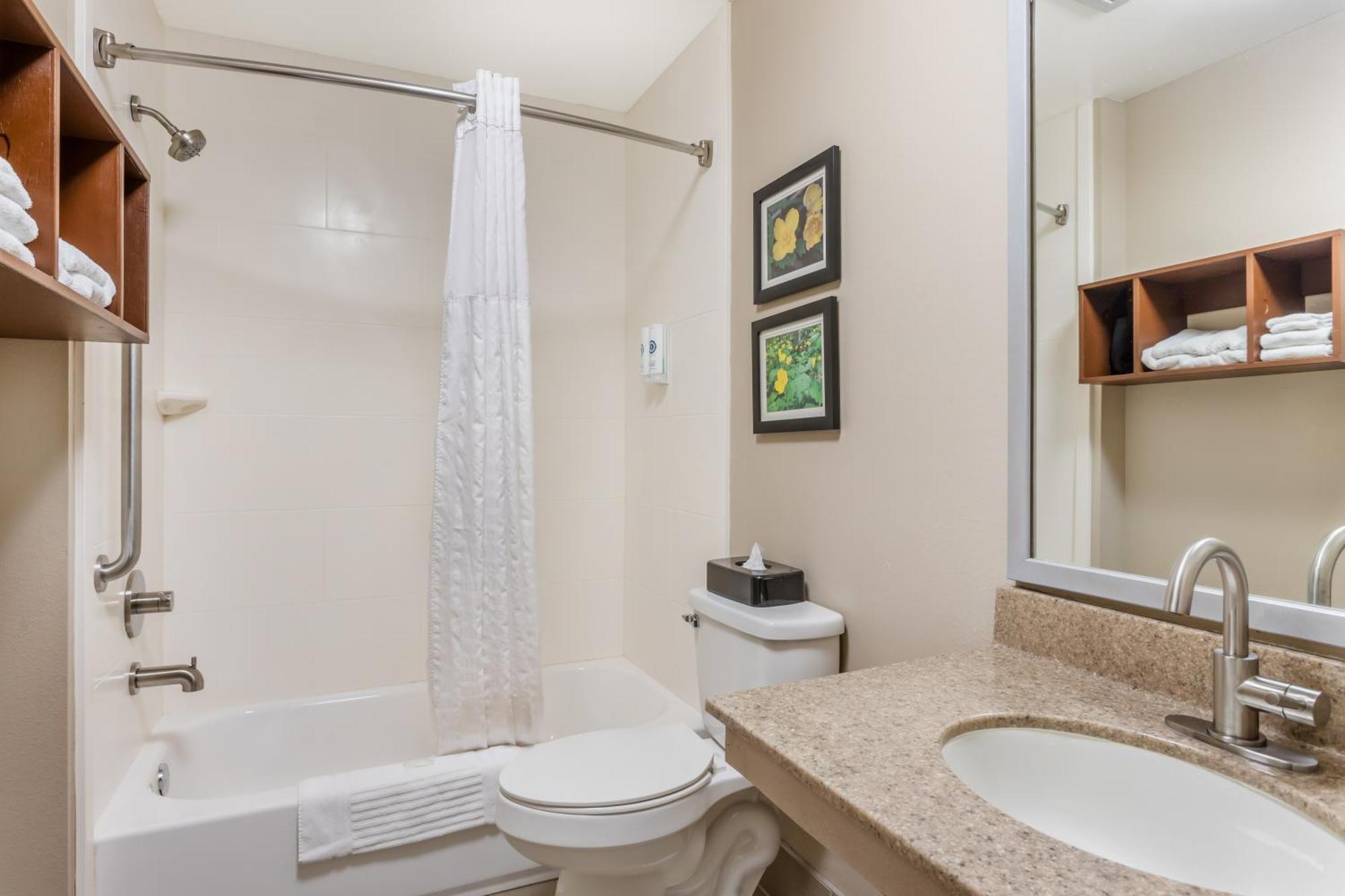 Comfort Inn & Suites Conway Dış mekan fotoğraf