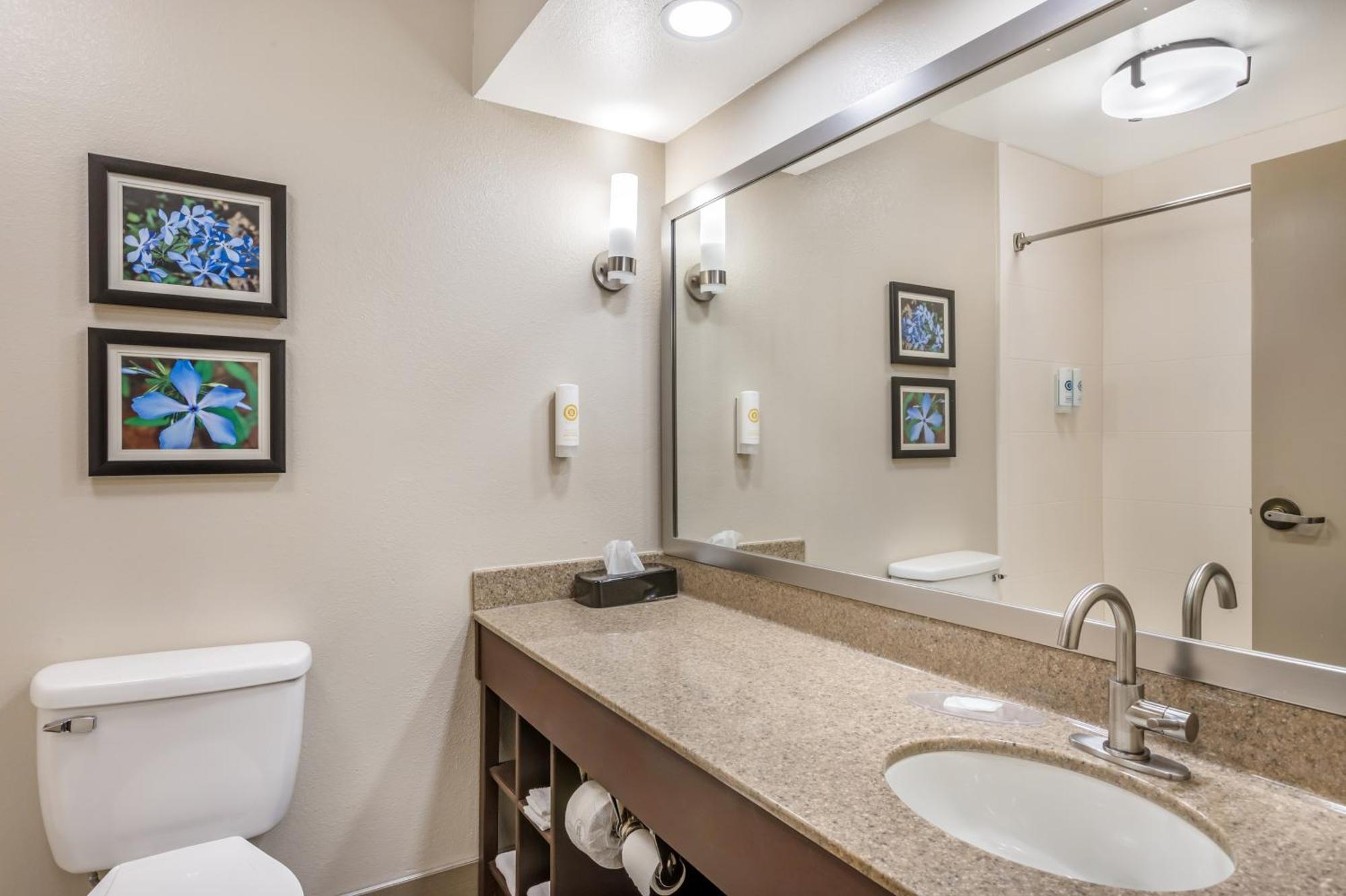 Comfort Inn & Suites Conway Dış mekan fotoğraf